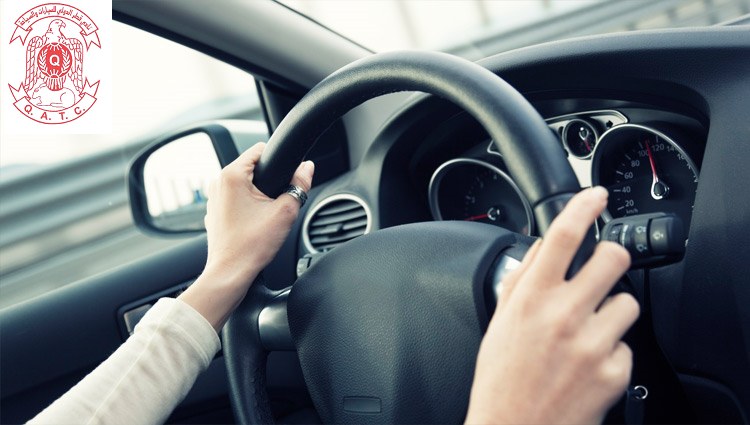 International Driving License